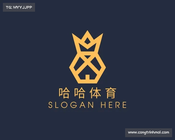 介绍哈哈体育